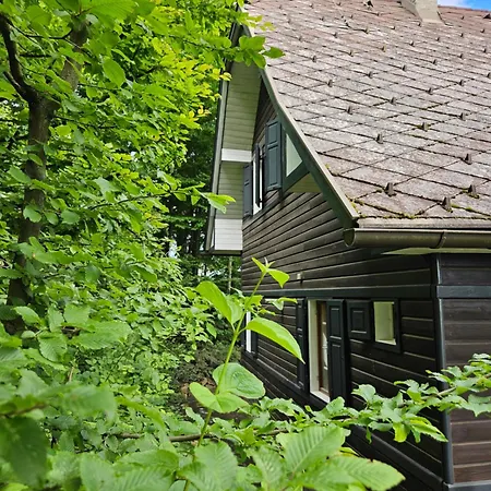 Onkel Willis Hütte Ferienhaus Velden am Wörthersee